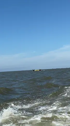 Pemburu gambar Soekarno Hatta wkwkw🤟🏽💪🤣 #fyppppppppppppppppppppppp #thailand🇹🇭 #brandafypシ #brandatiktok #fypviralシ 