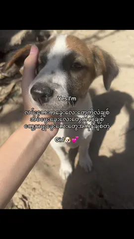 ယုန်လေးတွေဆိုရင်ပိုချစ်တာပေါ့နော် ဟိီး”🙈💕#livephoto #moots? #fyp 