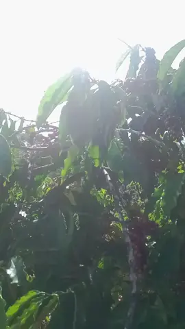 đâu ai hiểu được cảm giác này 😌🥹#xuhuong 