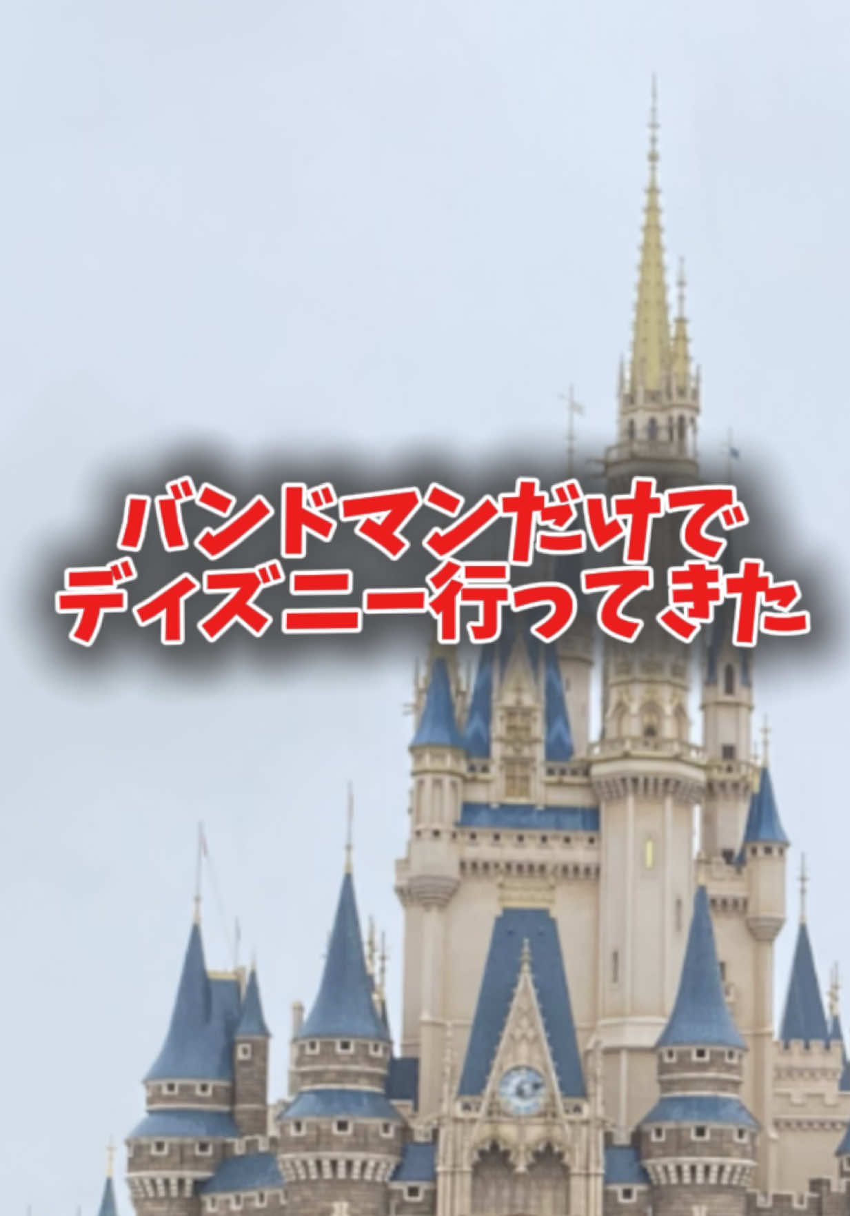 珍しく昼間から集まってみました。バンドマンたちが、あの楽しそうなディズニーランドへ。 #屋形船は概念 