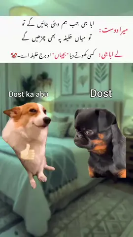 𝘿𝙊𝙎𝙏 𝙏𝙊 𝙂𝘼𝙔𝘼 🤣 𝙊𝙃 𝙈𝙔 𝙔𝙀𝙎 🤣 . . . . #memes_by_haseeb  #unfreezemyaccount 