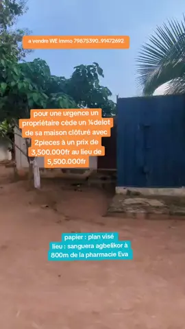 🇹🇬 winner enterprise immobilier WE immo 