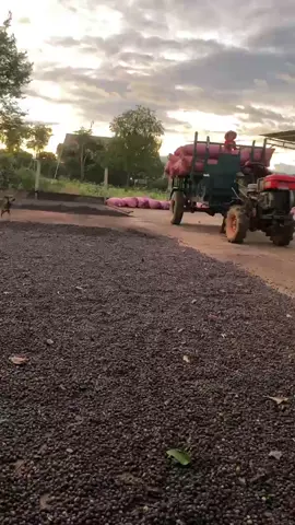 3ngày được trăm bao 🥲#viralvideo #càphê 