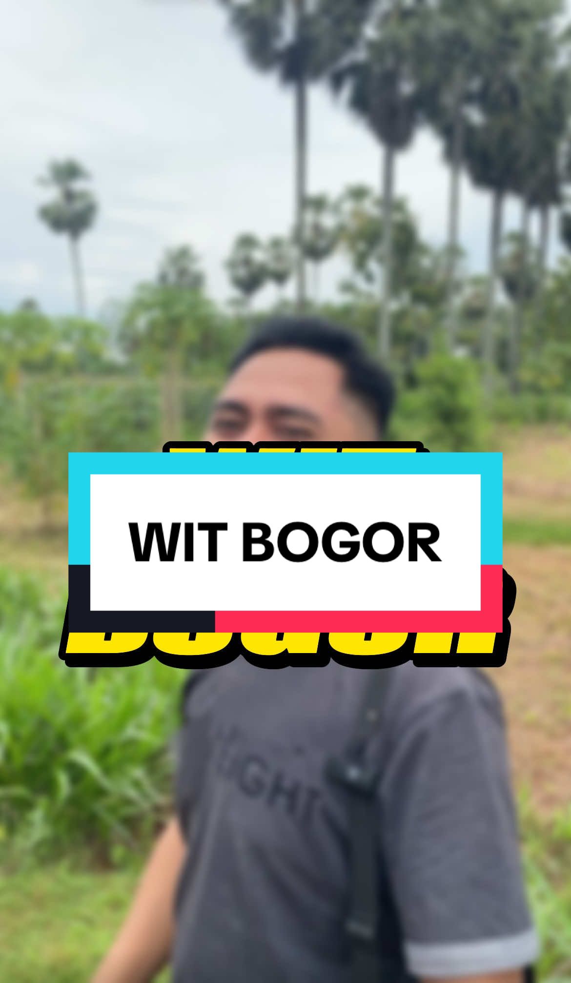 Ayok nang ngisor bogor! Cah luar kota pasti bingung #agunghartdiana #agunghart #kamustuban #tubanjawatimur #exploretuban 