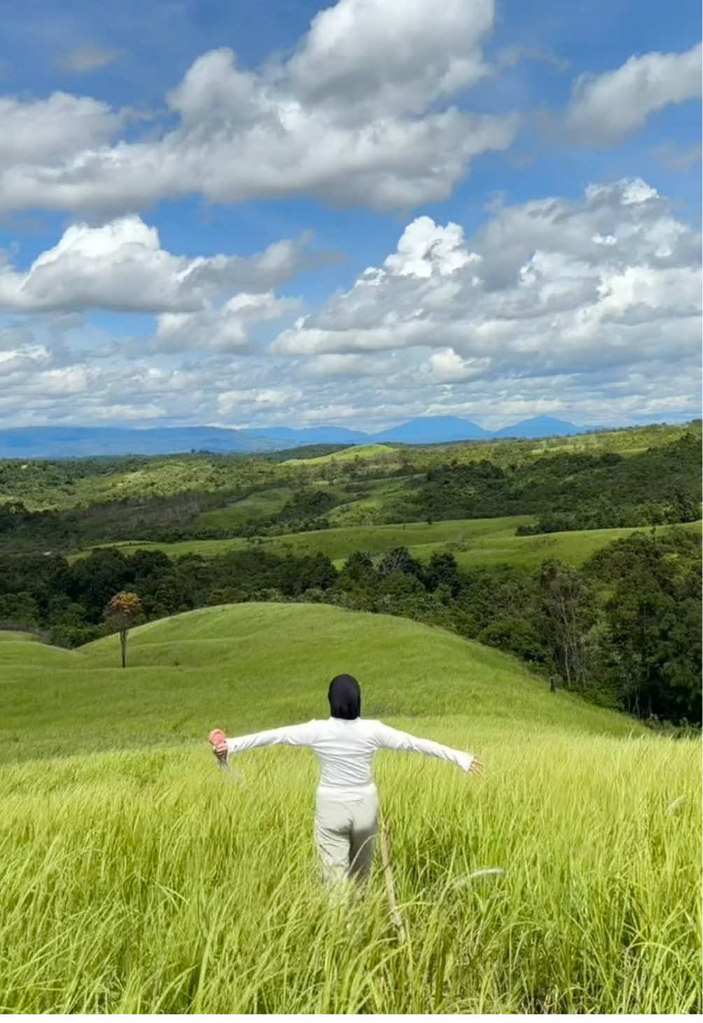 📍Seligi, menukung melawi #fyp #explorekalbar #explore #muncak #seligi 