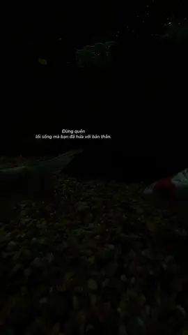 Đừng quên lối tắt..