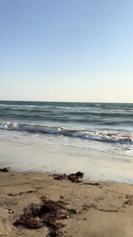 ياموج هون على قلبي …🚶🏻‍♀️#fyp #fyp 