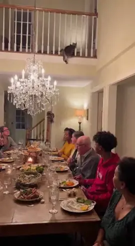 A family dinner turns into total chaos when a mischievous cat leaps from an indoor balcony onto the chandelier. The cat swings wildly as the light fixture gives way and crashes down onto the dinner table, sending everyone into a frenzy!