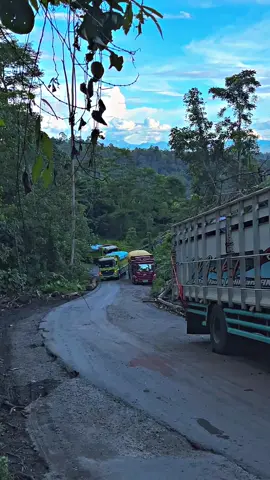 Merayap lagi barangnya d Bangkirai #fypage #fyppppppppppppppppppppppp #teambugisselatan⚡️ #sulawesiselatan #apajakoo🤙 