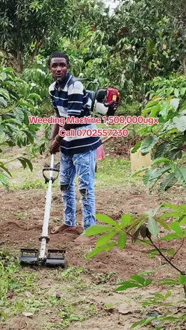a backpack weeder or mini tiller machine, which is a versatile piece of agricultural equipment used for weeding, cultivating, and tilling soil. This type of machine is portable, with a motor worn on the user's back via a harness, connected by a flexible shaft to the tilling or weeding attachment at ground level.  Key Information Function: The machine's rotating tines break up and aerate the soil while effectively removing weeds, which helps improve crop growth and reduce manual labor. Usage: It is designed for small to medium-sized fields, gardens, and orchards, particularly in areas where larger machinery cannot easily maneuver. Power Source: These machines typically use a small gasoline engine (either 2-stroke or 4-stroke) for power and mobility in remote areas without access to electricity. Versatility: Many models are multi-functional and can be fitted with various attachments, such as different types of blades, brush cutters, or ridgers, to perform multiple farming tasks. #kairumbaaraalimoodman #mkmarketinggroup #KairumbaZEmpire #GrowwithusKulanaffe #gardentiller 