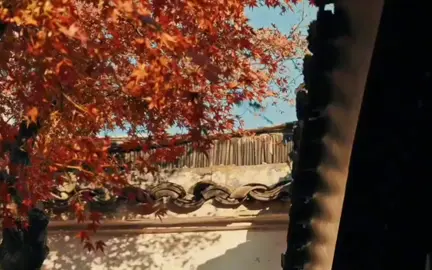 Nửa đời đầu, ta sống bằng chấp niệm. Nửa đời sau, ta học cách buông. Sống một nửa là khói lửa mưu sinh, một nửa là bình yên trong tâm. Có khổ có vui, có nắng có mưa, mới gọi là đời. Đừng vướng mắc quá khứ, cũng đừng sợ tương lai. Chỉ cần giữ tâm trong sáng, ngày mai tự khắc dịu dàng. #binhyen #annhien #phieulang1thoi #thugian @Phiêu Lãng 1 Thời 