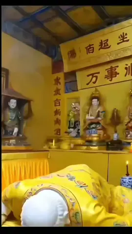 #niem phat moi ngay#vao nuc 6 gio sang ngay mai.ban se nhan duoc tin vo cung may man#tamlinhphongthuy#baihoccuocsong#phongthuytamlinh