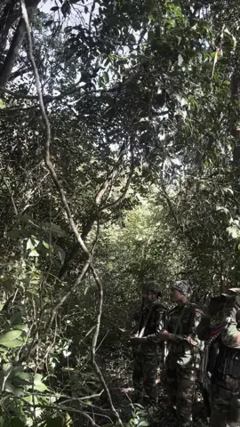 Tam trend b b muy #ទ័ពព្រៃ🐅👮🏻 #ទាហានព្រំដែន👮‍♂️❤️ 