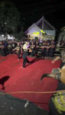 Banteng Tarkam Amokk#fyp #satrioputroarjuno #malang24jam #viraltiktok 