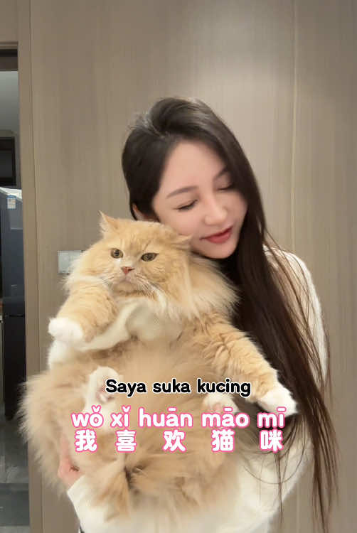 Kalian paling suka apa sih?#indonesia #mandarin #bahasa 