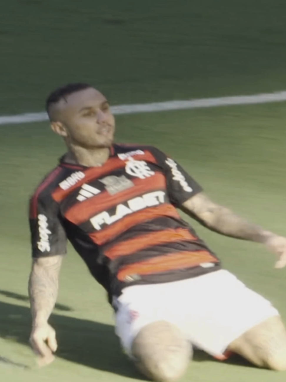 a história pode se repetir na terça-feira... #flamengo #brasileirao #palmeiras #fypシ゚ 