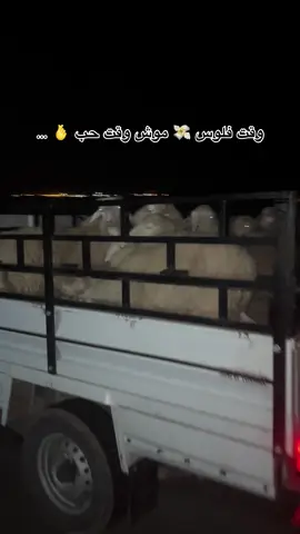 وقت فلوس موش وقت حب 🧡 #اكسبلورexplore #paratii #fyyyyyyyyyyyyyyyy #fyppppppppppppppppppppppp #fouryourpage 