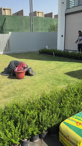 #ديكورات_داخليه #هندسة_معمارية #تصميمي❤️ 07904988524 ماجد الشجيري لهندسه وتصميم الحدائق