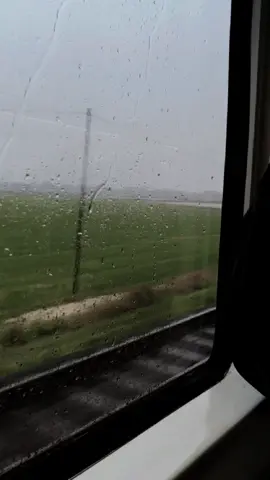 segelas kopi hangat saat hujan lebih nyaman di banding berharap pada manusia  #sheilaon7 #ketidakwarasanpadaku 