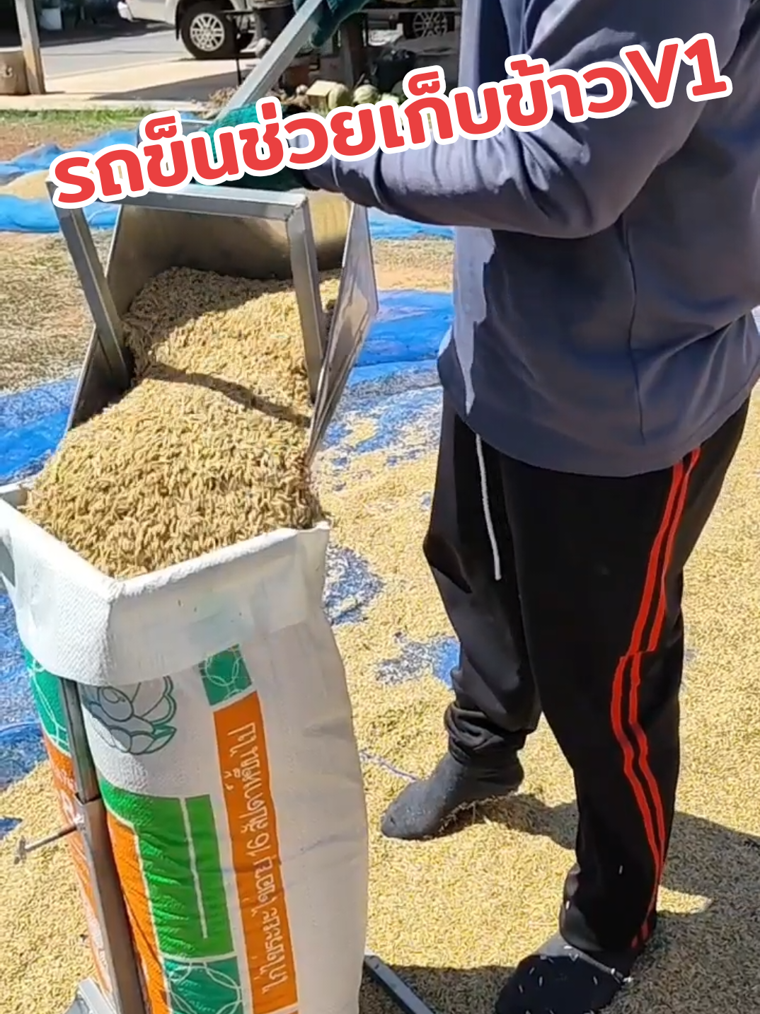 #ชาวนา #ตากข้าว #ที่ช่วยเก็บข้าว #รถเข็น   ใช้งาน​จริง.. รถเข็นช่วยเก็บข้าวV1