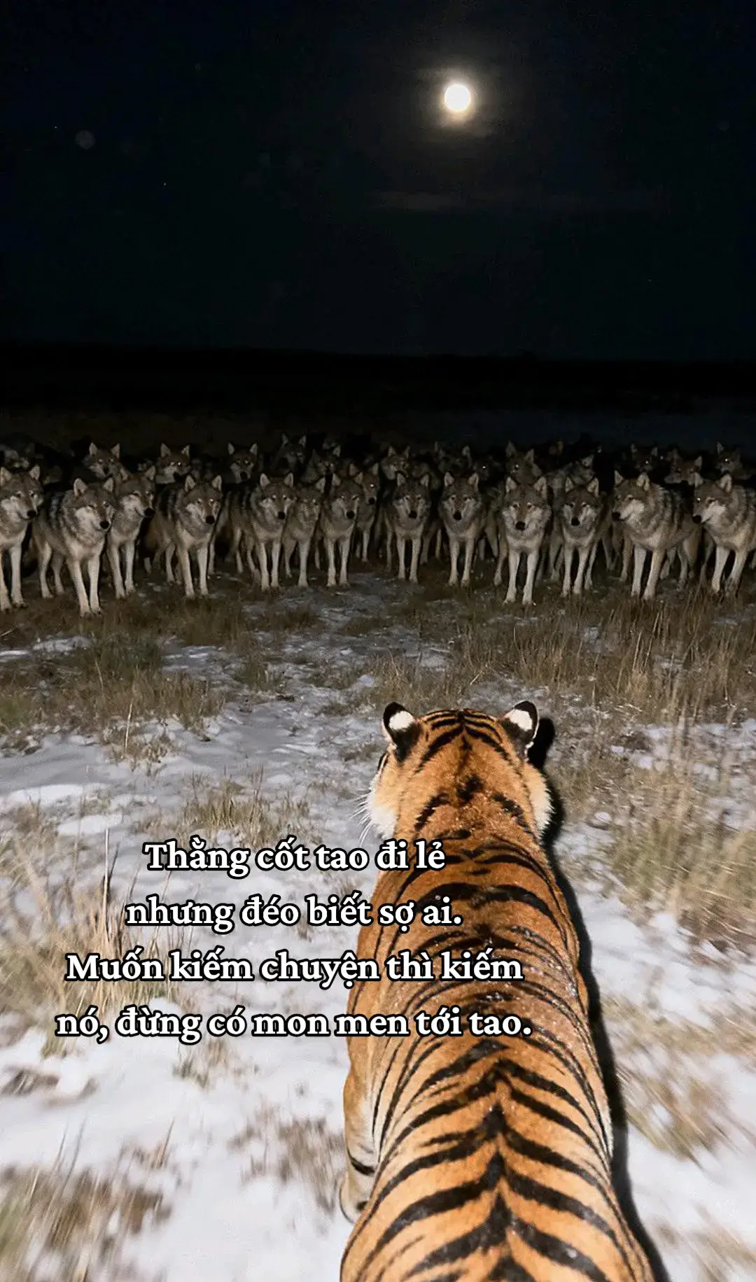 Thằng cốt tao đi lẻ nhưng đéo biết sợ ai. Muốn kiếm chuyện thì kiếm nó, đừng có mon men tới tao. #xh #luatdoi #fyp 