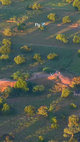 လှလိုက်တာ ပုဂံရယ် ☘️ #foryou  #bagan  #Baganlover 