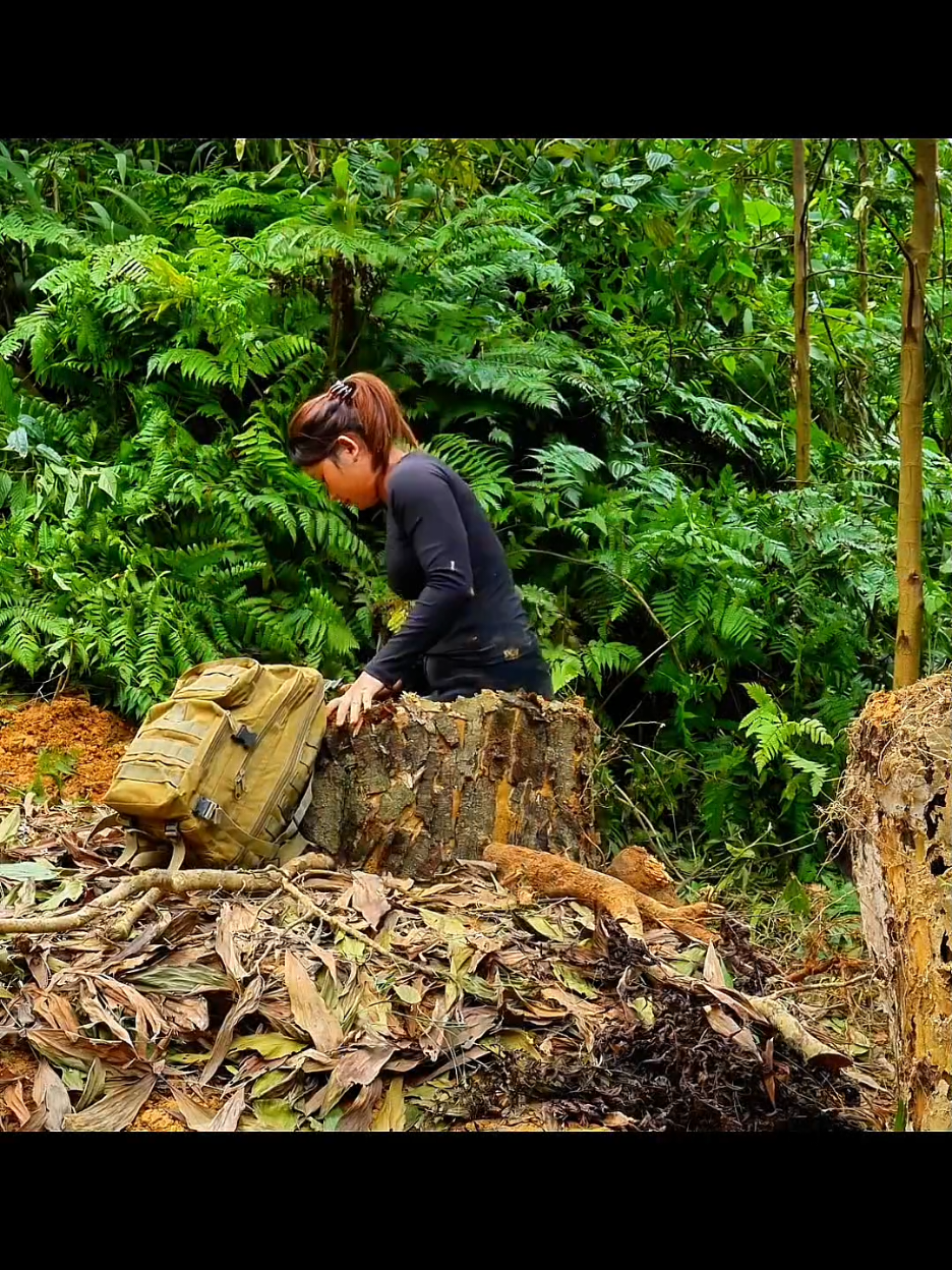 Building a Secret Dungeon in a Tree Stump for Survival in a Dense Forest. Bushcraft#shelter #bushcraft #forest #survival 