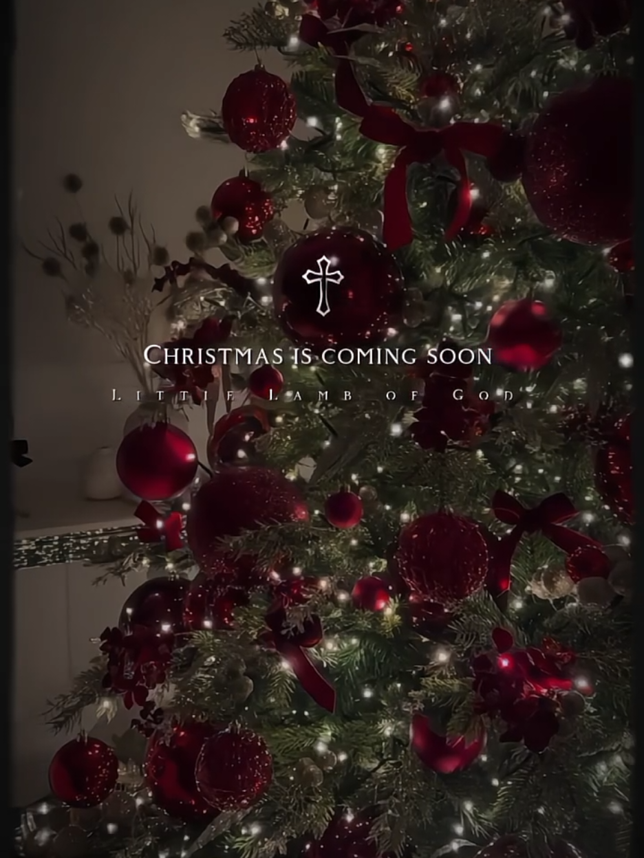 #creatorsearchinsights Christmas is coming soon #trendingtiktok #fullviralvideo #foryoupage #bibelversemashigeet🙏🙏🙏🙏🙏fullviral 