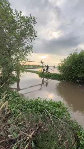 Bình yên ở dưới quê#tamtrang 