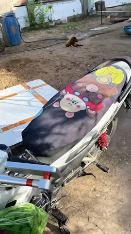 Vừa chóng nóng vừa trang trí xe, Bảo vệ yên xe máy #luoibocyenxemay #bocyenxemay #bocyenxechongnong 