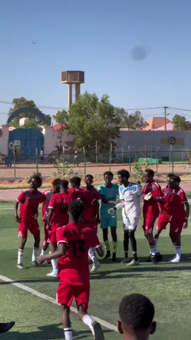 Celebration DEG goldogob 