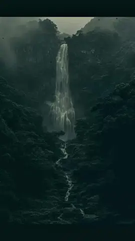 #motivation_9905 #motivation #motivational videos #fypシ゚viral #foryou 