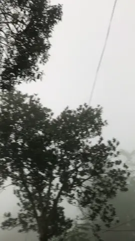 karnaval nde isor e semeru🥶🤙🏻 @P17ULAS REBORN OFFICIAL @MSG Pro Audio #karnavaltamansatriyan#karnavalsoundsystem#mbangsrutgank#berandafyp#berandatiktok 