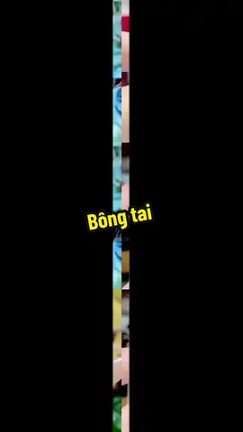 Mẫu bông tai cực xinh cho chị e lựa ..#trungdiamond #thanhtrungdiamond #longngocluxury342 #kimcuongthiennhien #bongtai 