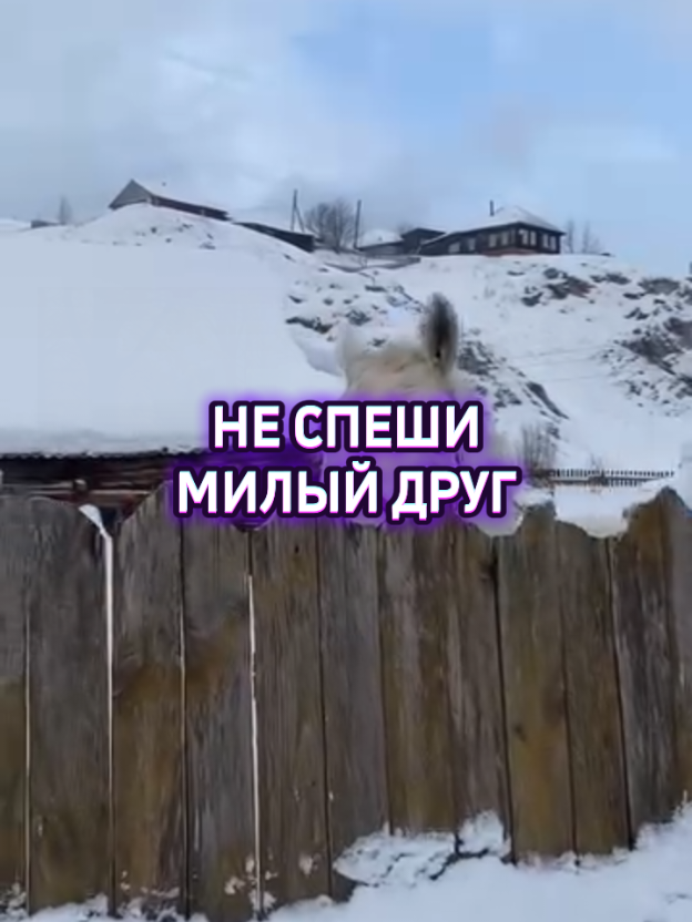 Не спеши милый друг.