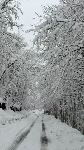 #theth #thethivillias #theth #snow #thethivillias 