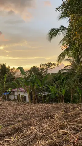 Free to use #fyp #vidoes #story #fyppppppppppppppppppppppp 