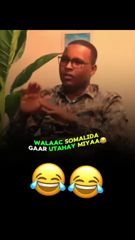 fllowda xa ku hesataa😂#fyp #fypシ゚ #for #foryou #foryoupage 