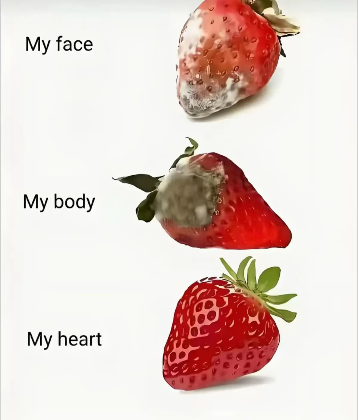 #xuhuong  #viral  🏡🏡