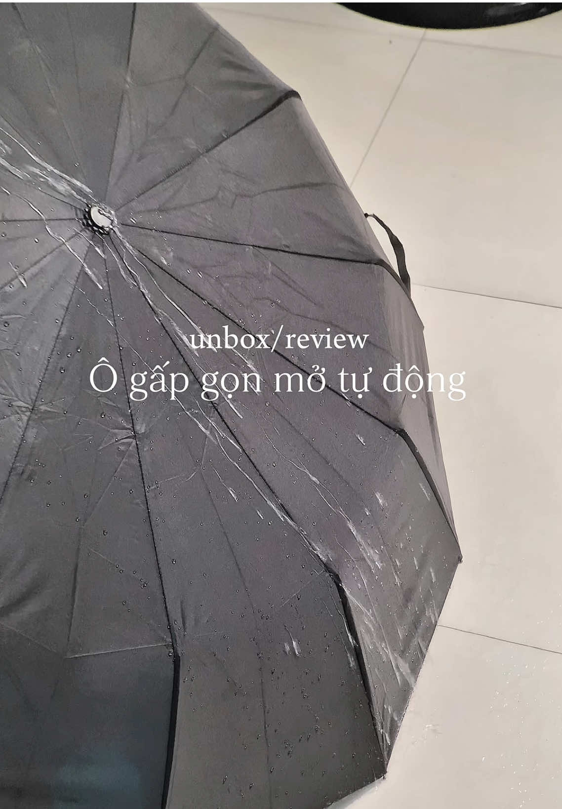 Ô dù che nắng mưa | #xuhuong #ôduchemuanang #theumbrella 