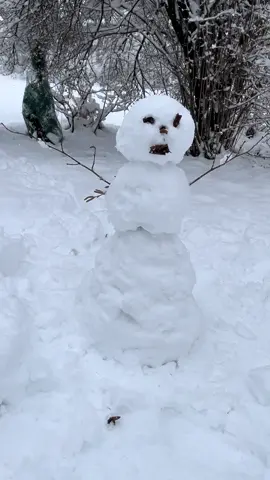 #snow #zima #bałwan #adi