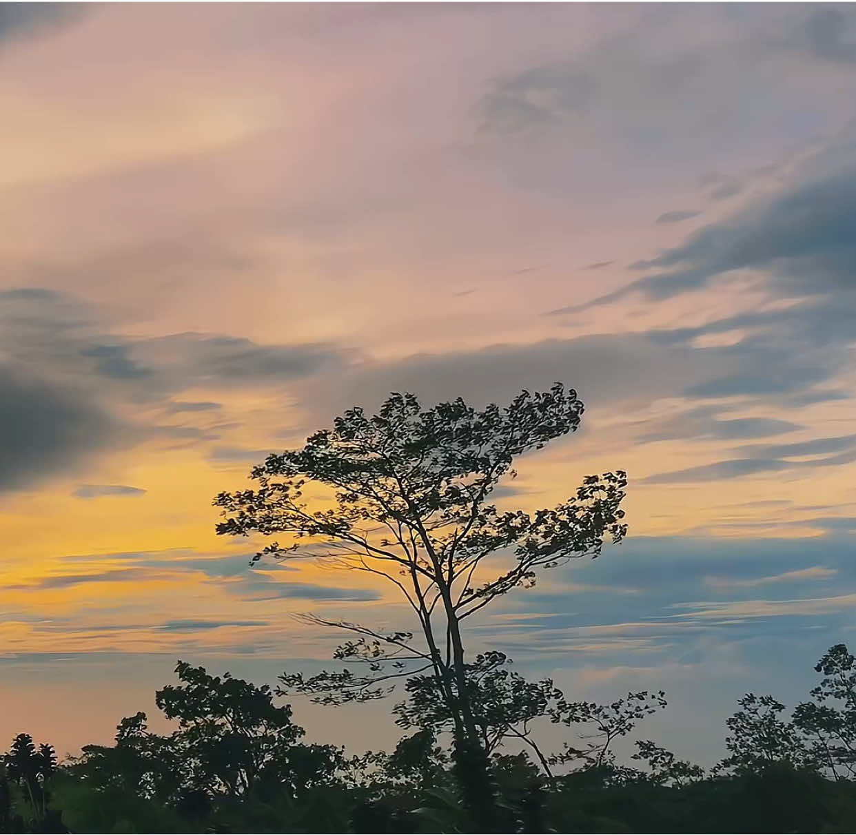 serenity | #fyp #foryou #aesthetic #bukit #fypシ 