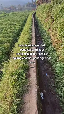 ,,#sundavibes #fypage #katakata 