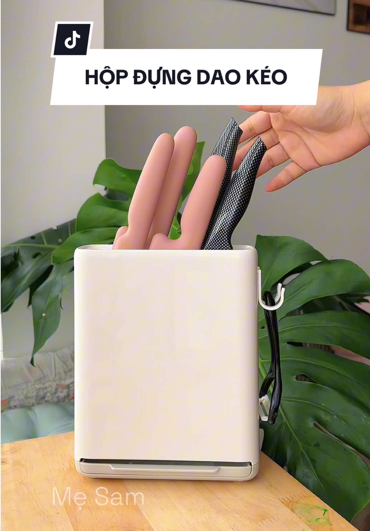 Hộp đựng dao kéo thớt #hopdungdaokeo #hopdungdao #kedungdaokeo #kedungdaokeoparroti #parroti 