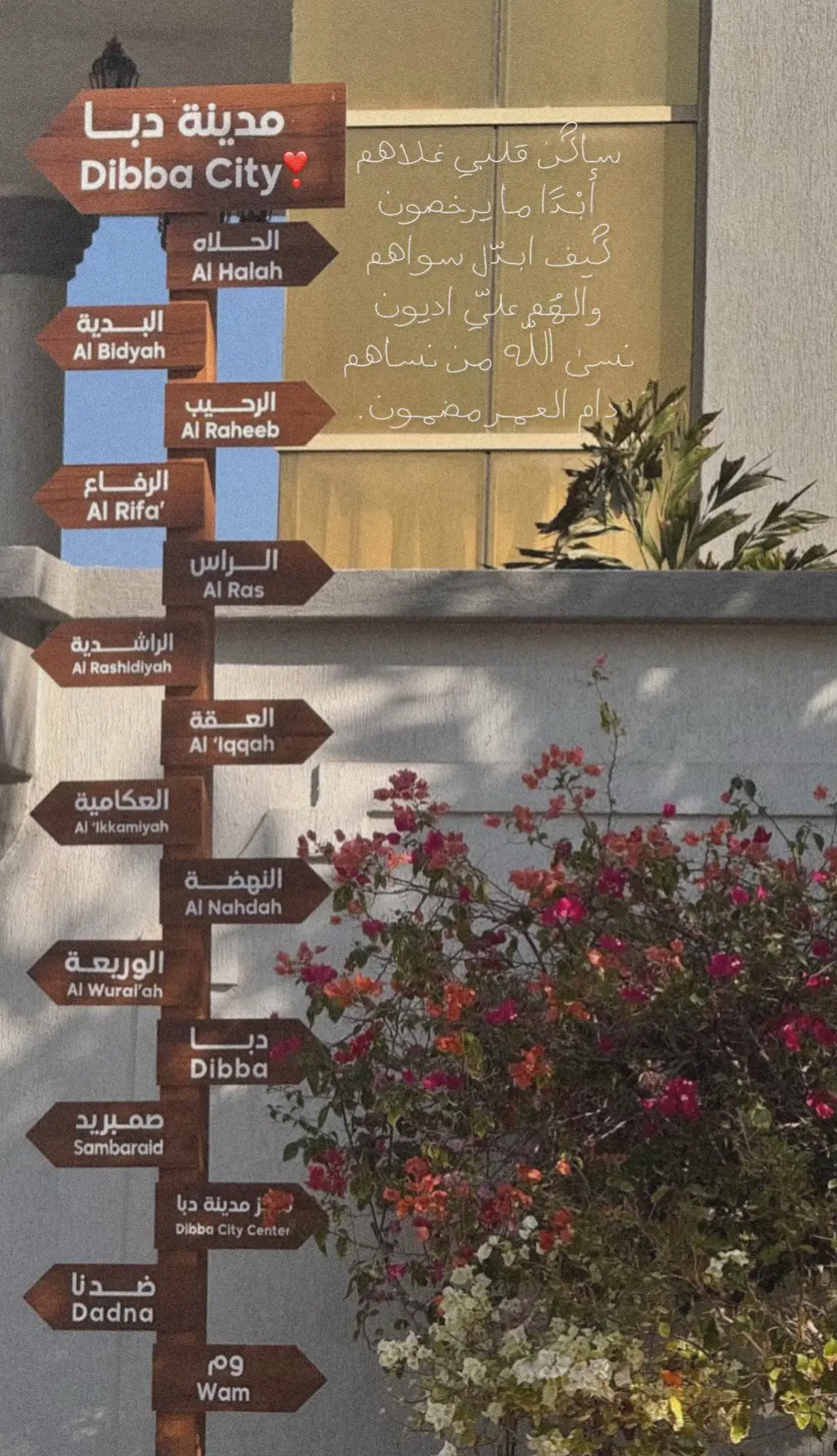 #dibba #dibbafujairah #viral #onthisday #fyp 