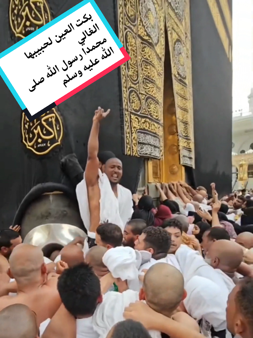 بكت العين لحبيبها الغالي محمدا رسول الله صلى الله عليه وسلم #مدائح_نبوية  #انشاد_ديني مكه المكرمه المدينه المنوره مدينه رسول الله صلى الله عليه وسلم #اللهم_صل_وسلم_وبارك_على_نبينا_محمد الذكر والذاكرين الإسلام والمسلمين والمسلمات المؤمنين والمؤمنات انشاد ديني مدائح نبويه في حب الرسول صلى الله عليه وسلم الصوفيه التصوف التجانيه السمانيه العركيين القادريه الطريقه البرهانيه الطريقه السمانيه الطيبيه الطريقه التجانيه العركيين السفوري ازرق طيبة الشكينيبه الجزيره اهل السلسله المكاشفيه الشكينيبه اللهم صل وسلم وبارك على سيدنا محمد وآله وصحبه وسلم تسليما كثيرا إلى يوم الدين السفوري #السفوري #ترندات_تيك_توك مدائح نبويه انشاد مديح المصطفى صلى الله عليه وسلم وصل اللهم وسلم وبارك على سيدنا محمد وآله وصحبه وسلم تسليما كثيرا 