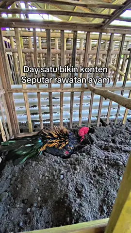 Akun baru 🥹#CapCut #fyp #fyppppppppppppppppppppppp #viral #bangkokthailand 