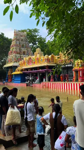 Sellakataragama ❤️#creatorsearchinsight #කතරගම #srilanka #srilankan_tik_tok🇱🇰 #fyp 