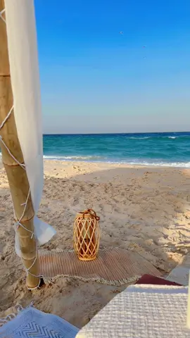 ❤️🥀#fyp #viral #foryou #viralvideo #foryoupage 