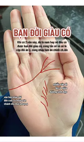 Khi có 2 vân này, dù là nam hay nữ đều có được bạn đời giàu có, cùng tần số và sẽ là cặp đôi ăn ý, cùng nhau làm ăn chinh ch.iến...